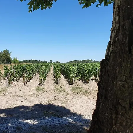 Domaine De Larchey & Son Restaurant - Bordeaux Sud